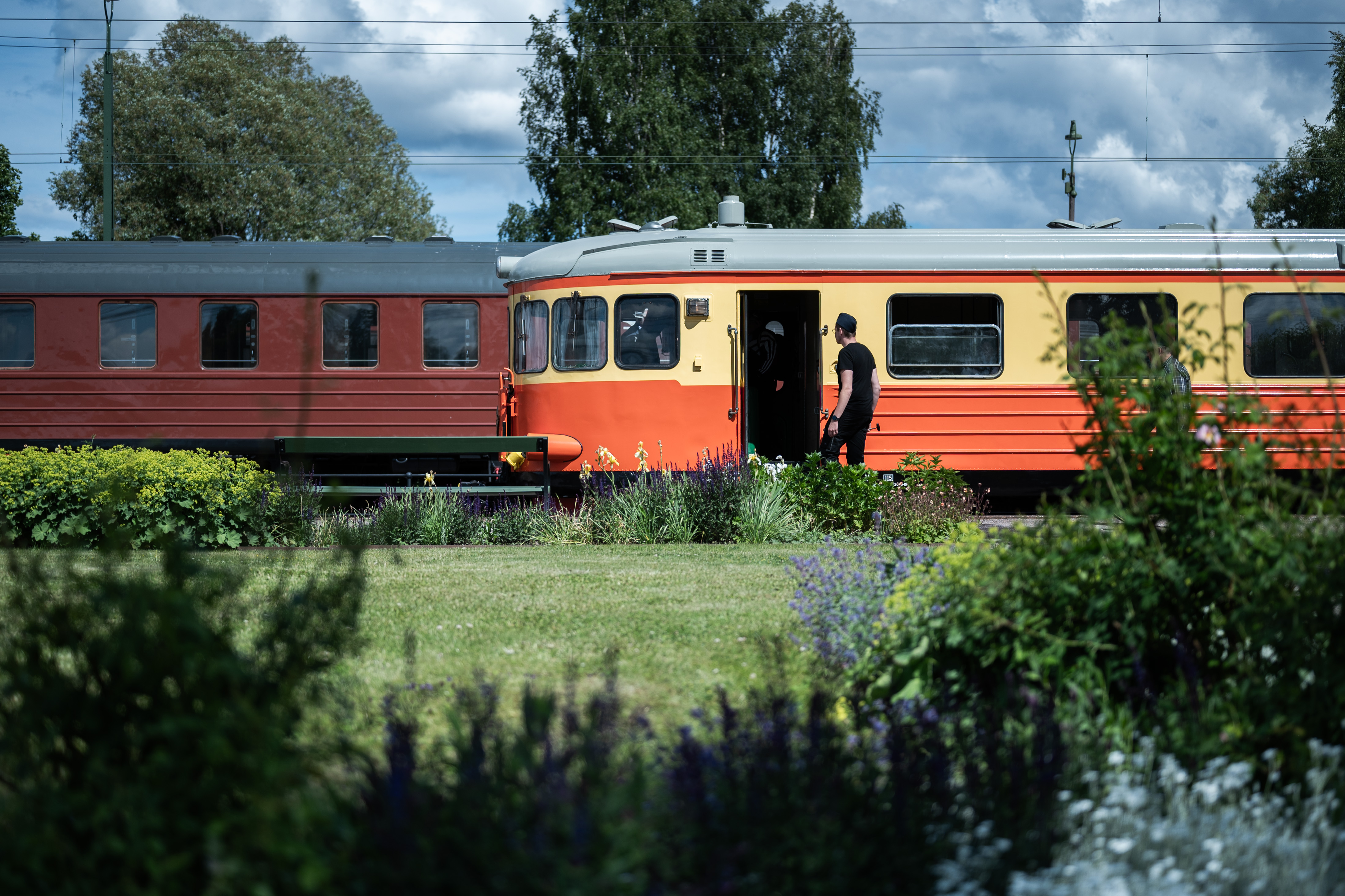 En rälsbuss syns bland grönskande gräs och buskar