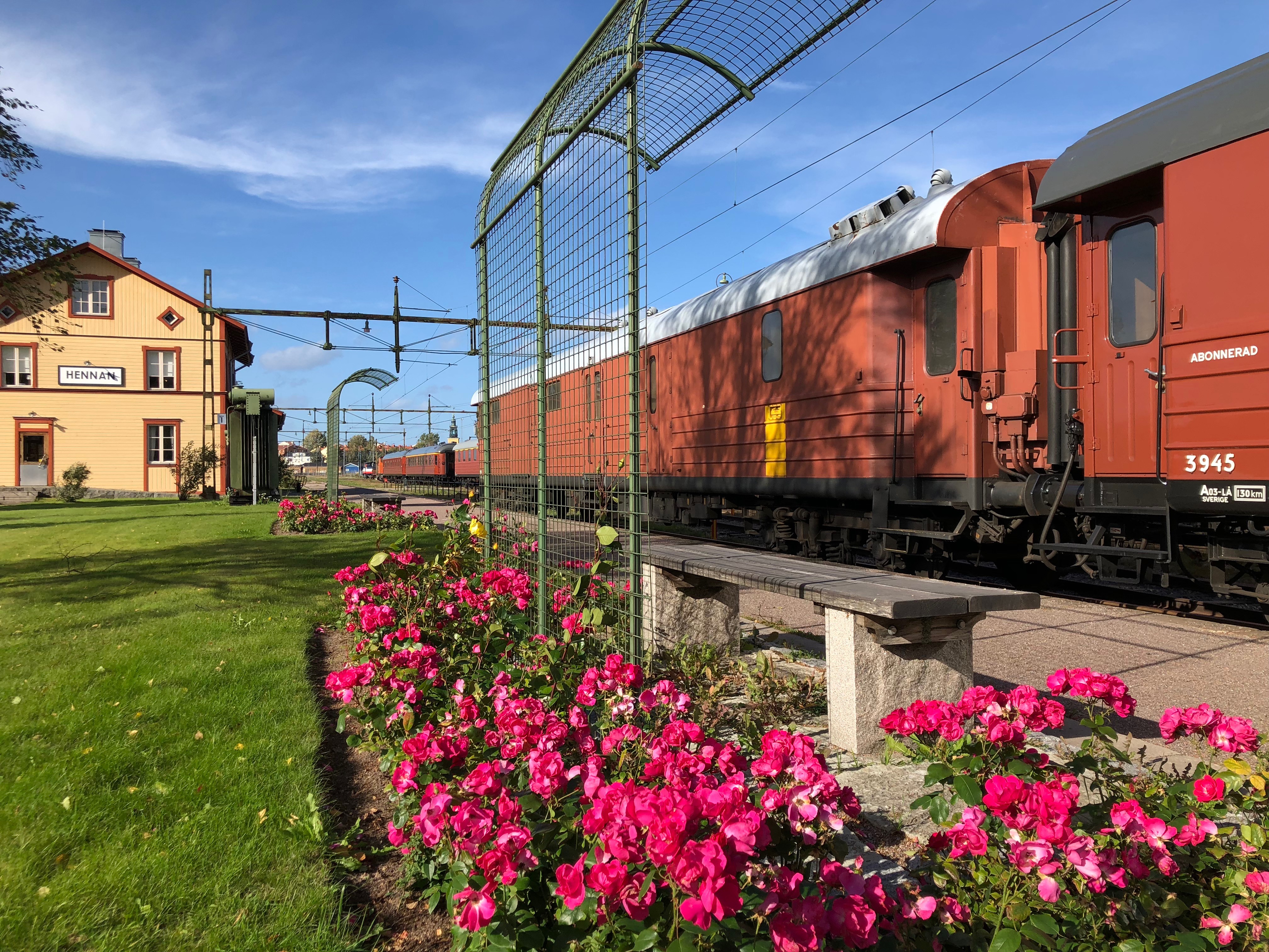 Pink flowers in the forground, a orange train car to the left and a yellow rangers cabin to the right
