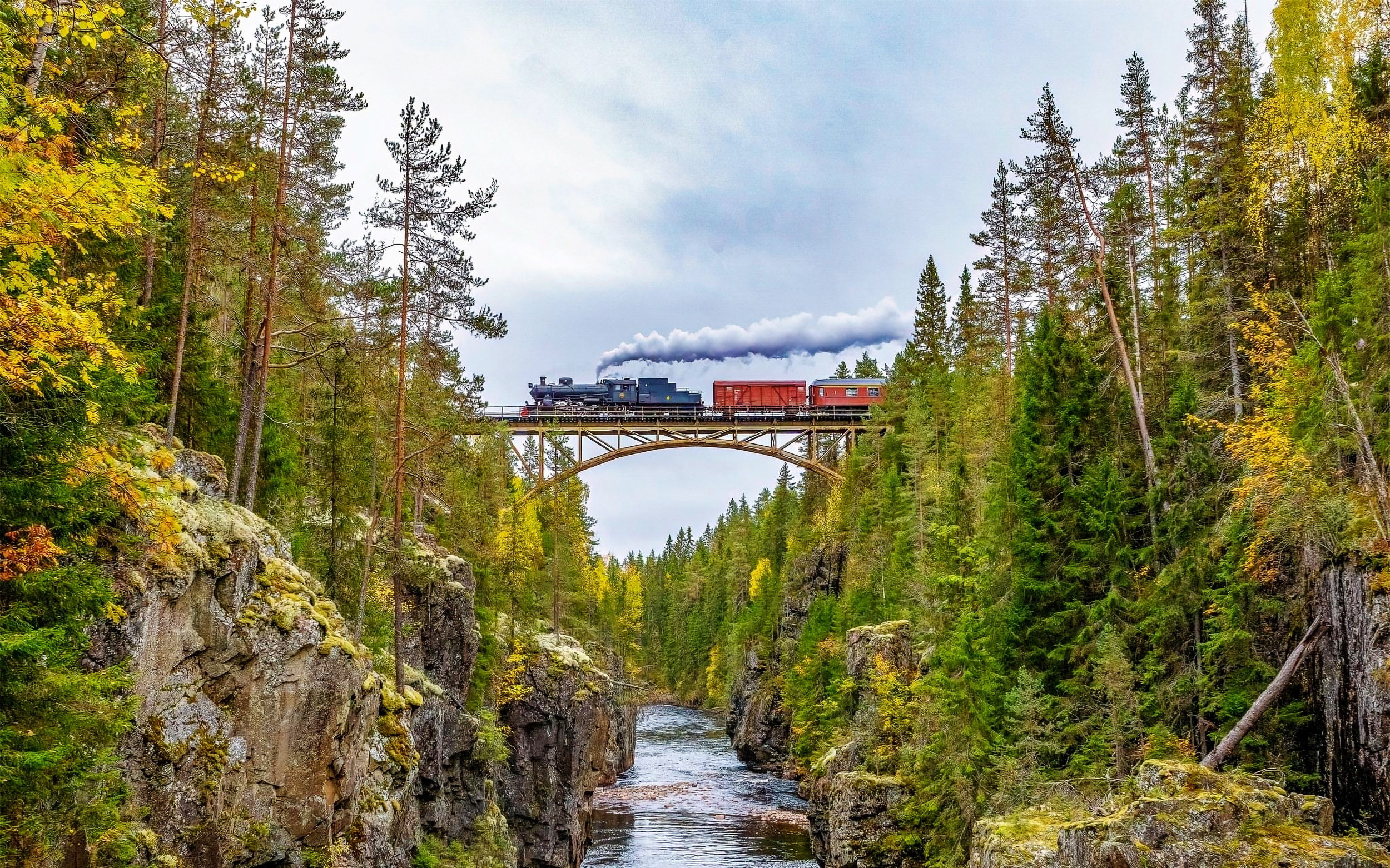 Steam locomotive with puffing smoke that travels over a high bridge over a forested ravine.